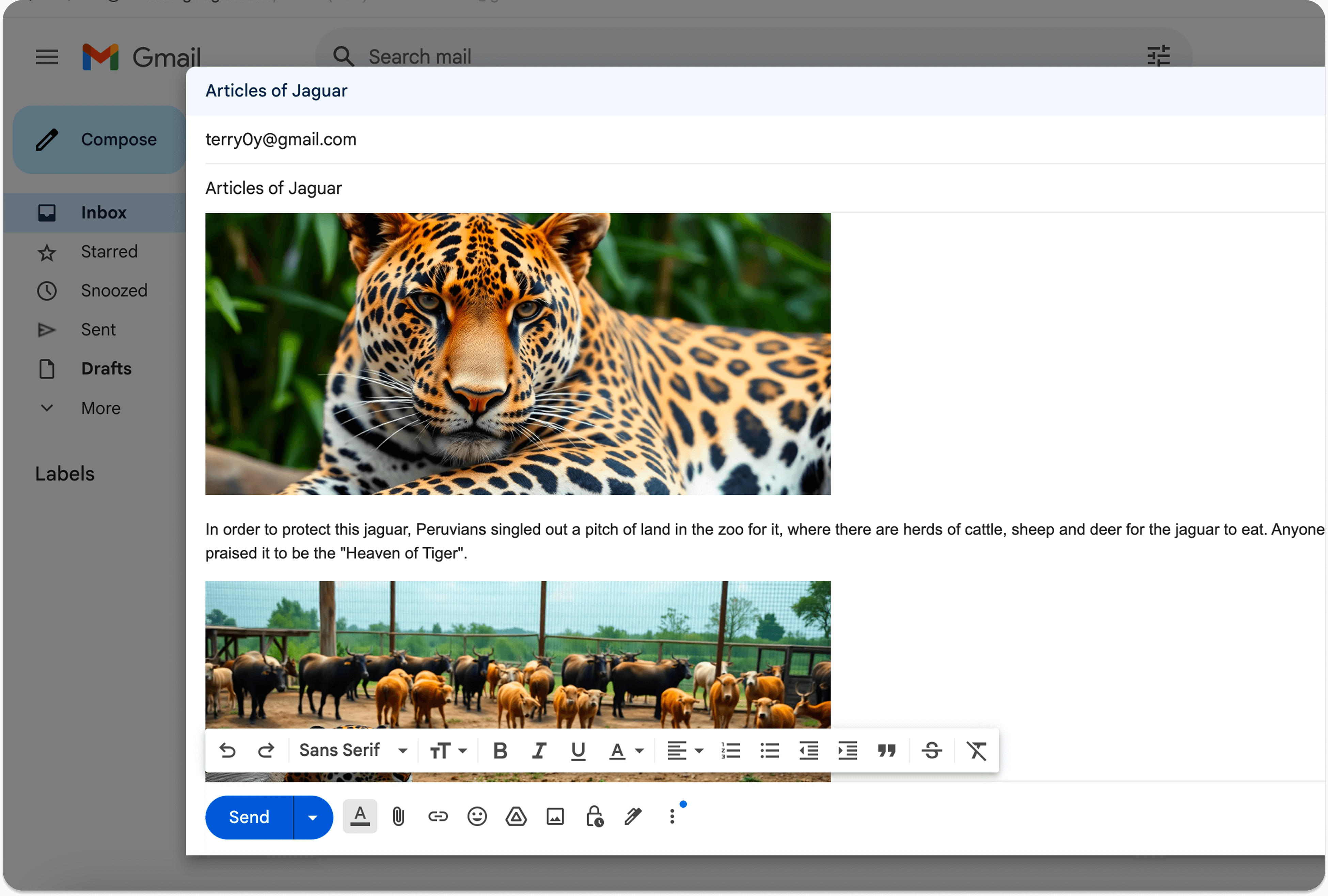 Real-time Preview Demo Screenshot